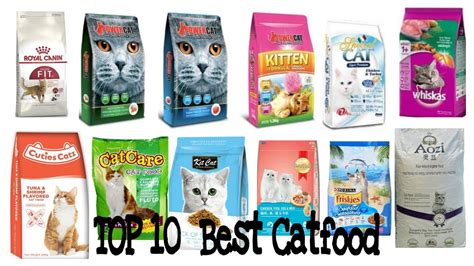 best cat food brand in philippines